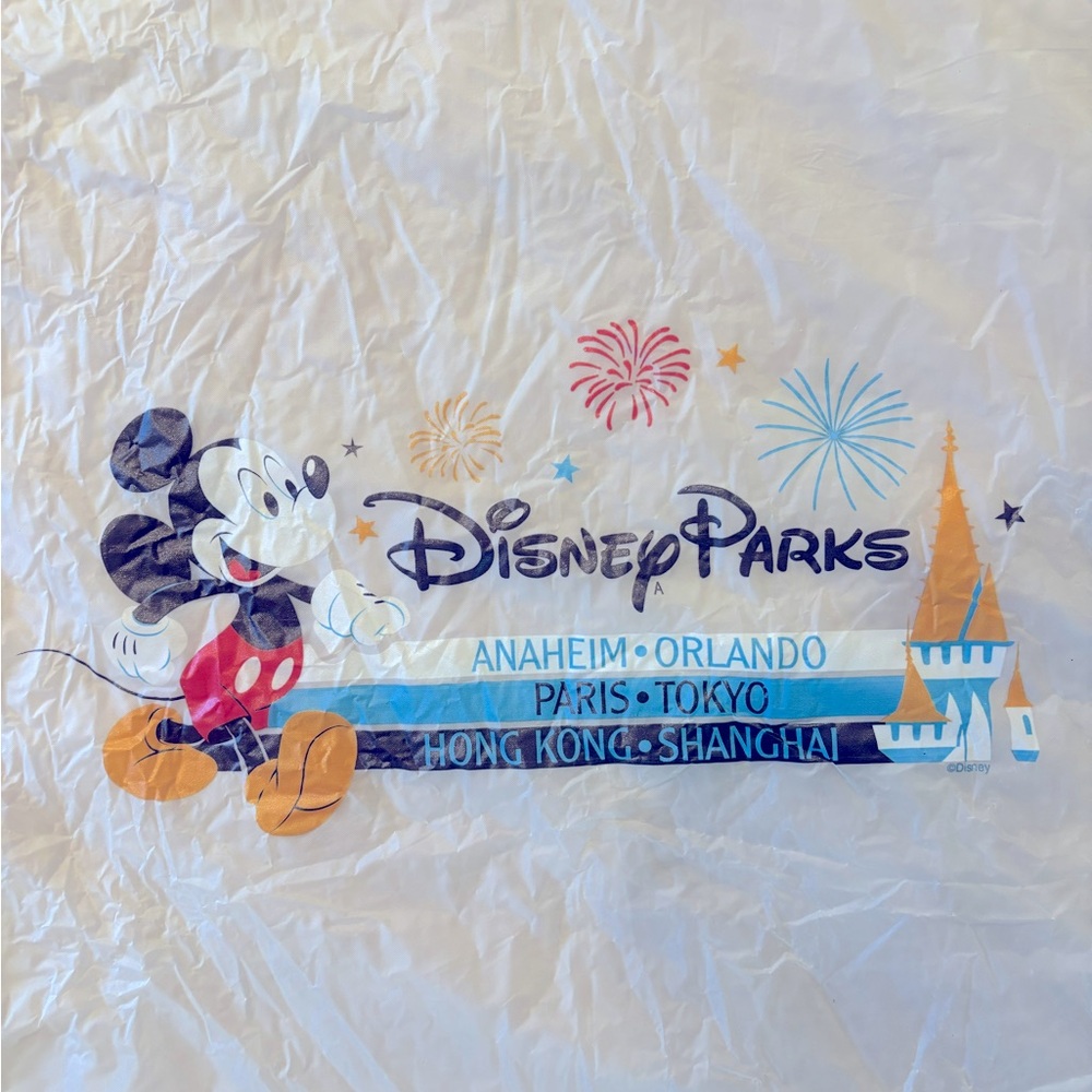 Disney Rain Poncho